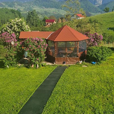 Nona Highland Home Moieciu de Jos Bagian luar foto
