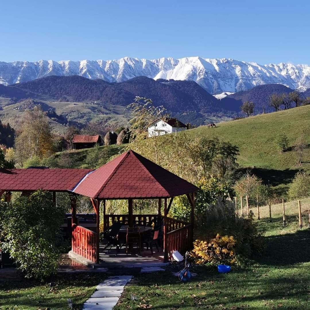 Nona Highland Home Moieciu de Jos Bagian luar foto