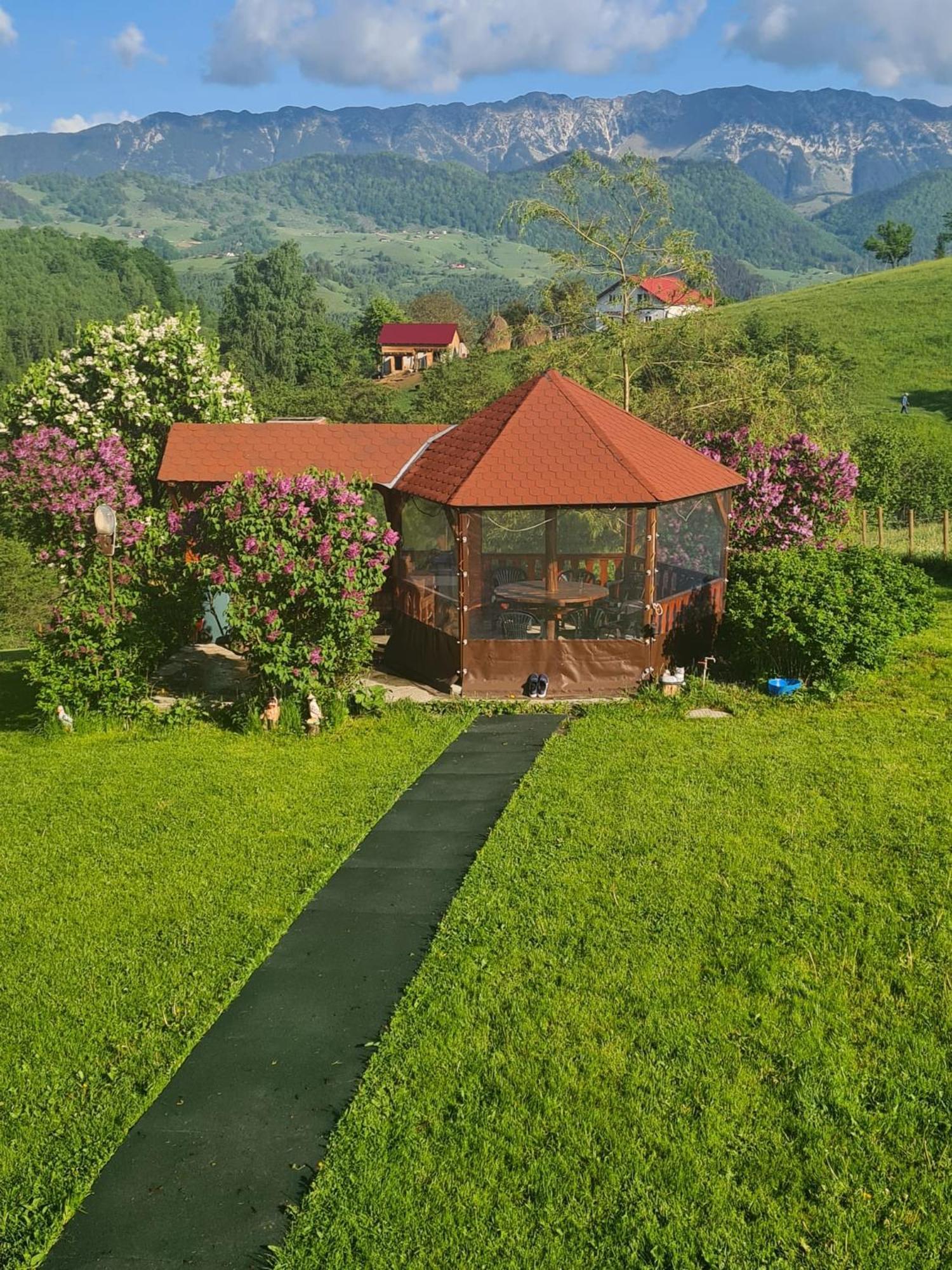 Nona Highland Home Moieciu de Jos Bagian luar foto