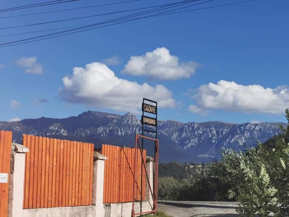 Nona Highland Home Moieciu de Jos Bagian luar foto