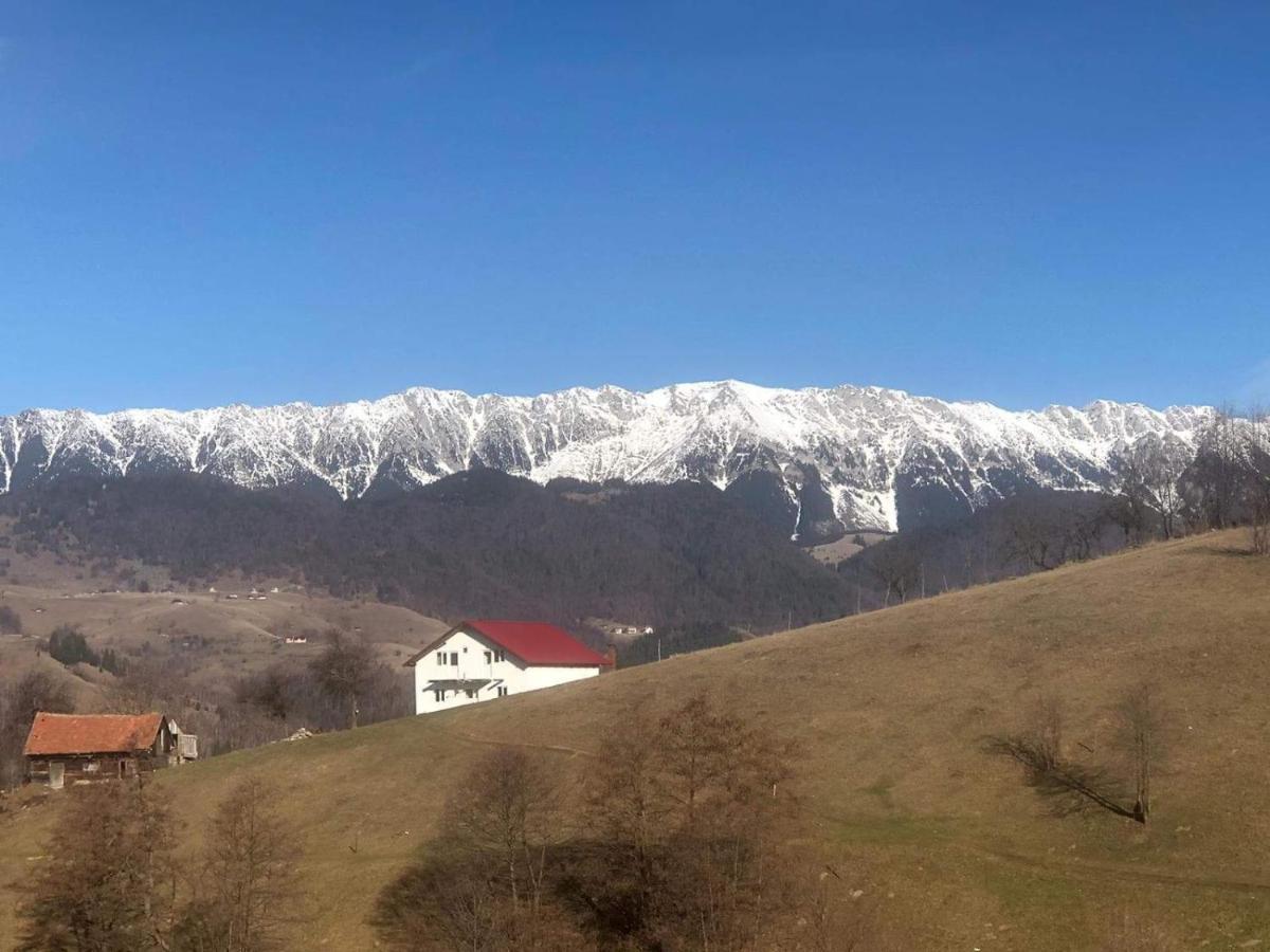 Nona Highland Home Moieciu de Jos Bagian luar foto