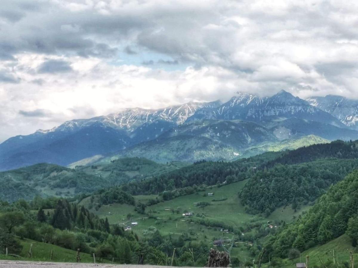 Nona Highland Home Moieciu de Jos Bagian luar foto